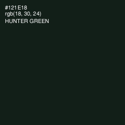 #121E18 - Hunter Green Color Image